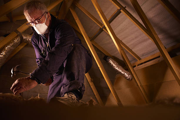 Types of Insulation We Offer in Stayton, OR